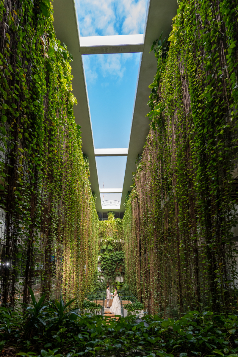 沖縄らしい写真を