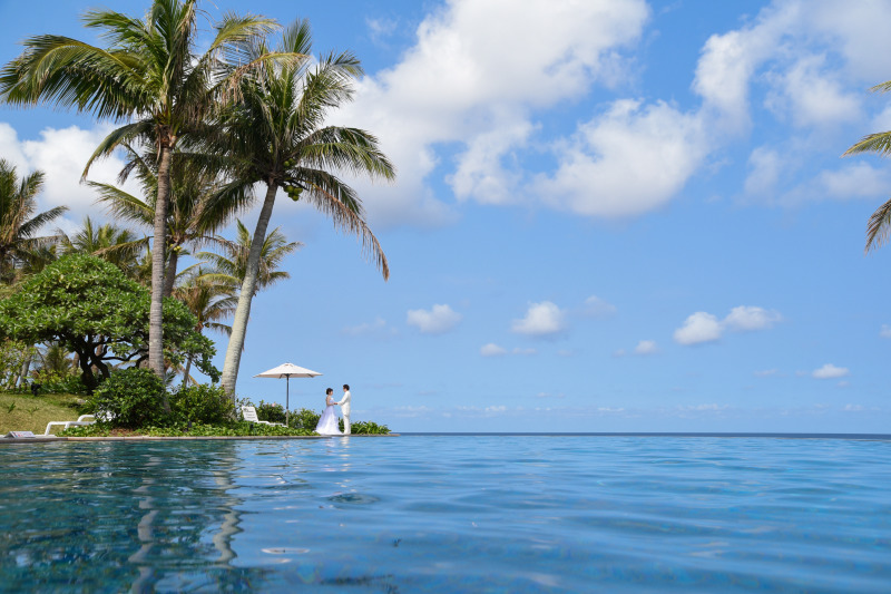 ヤシの木 @ インフィ二ティプール