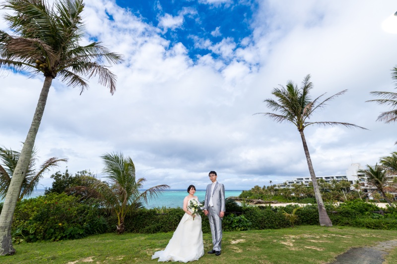 300本ものヤシの木