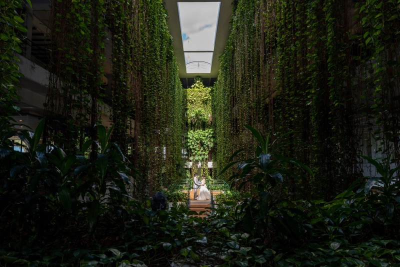 フォトジェニック