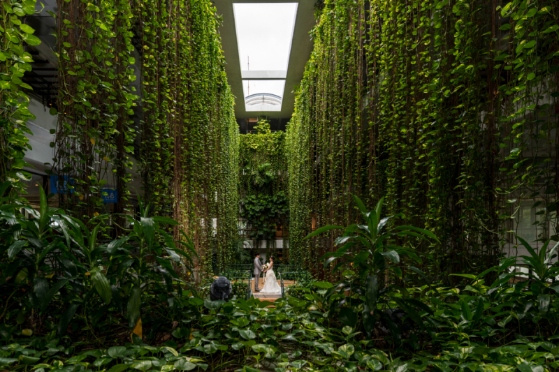 「美しい写真を永遠に　楽しいフォトウエディング」