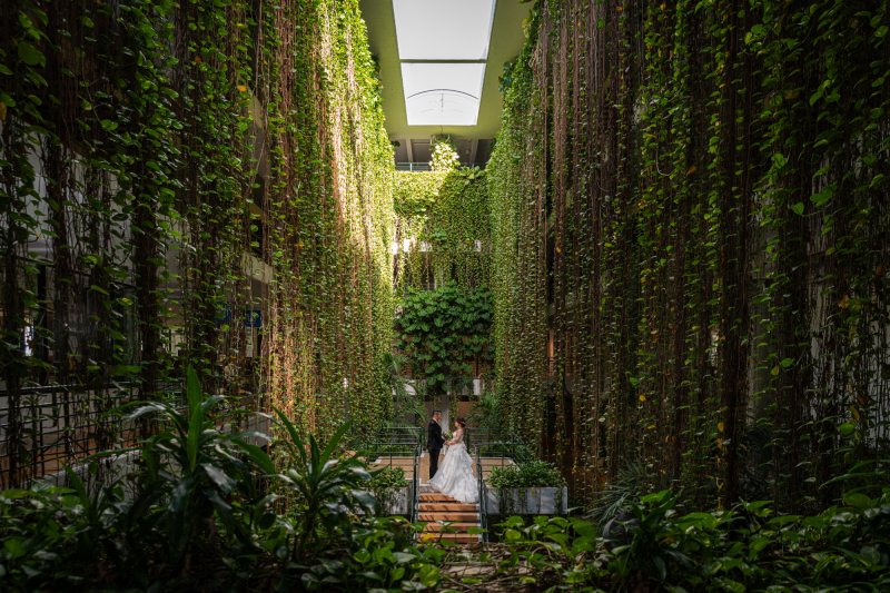 フォトジェニックな館内