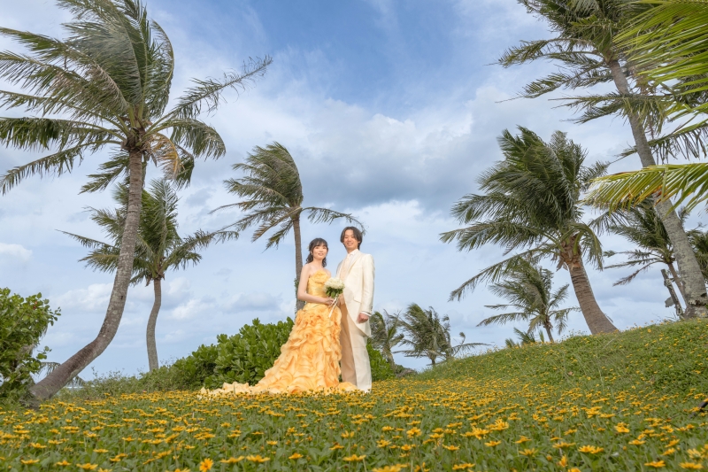 イエローコーディネーション