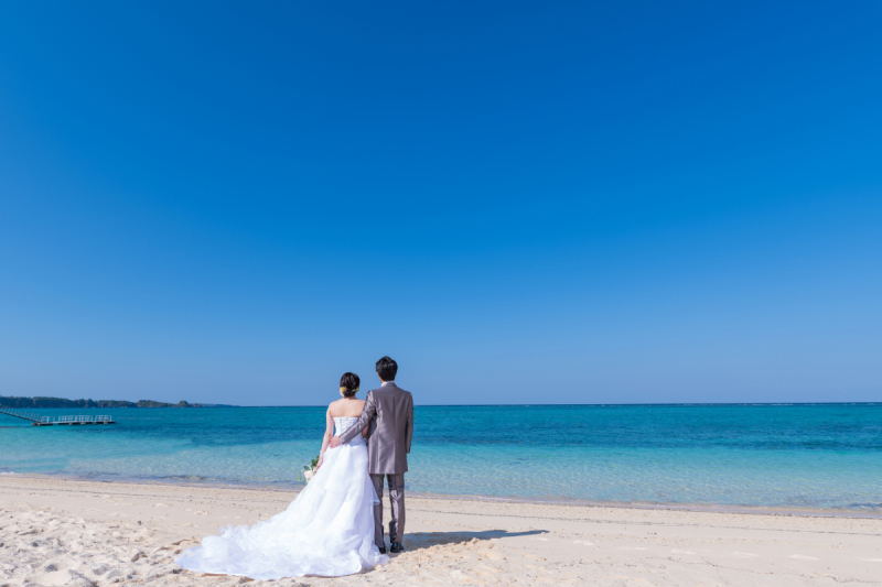 実は「日中シンクロ」がポイントだワンッ