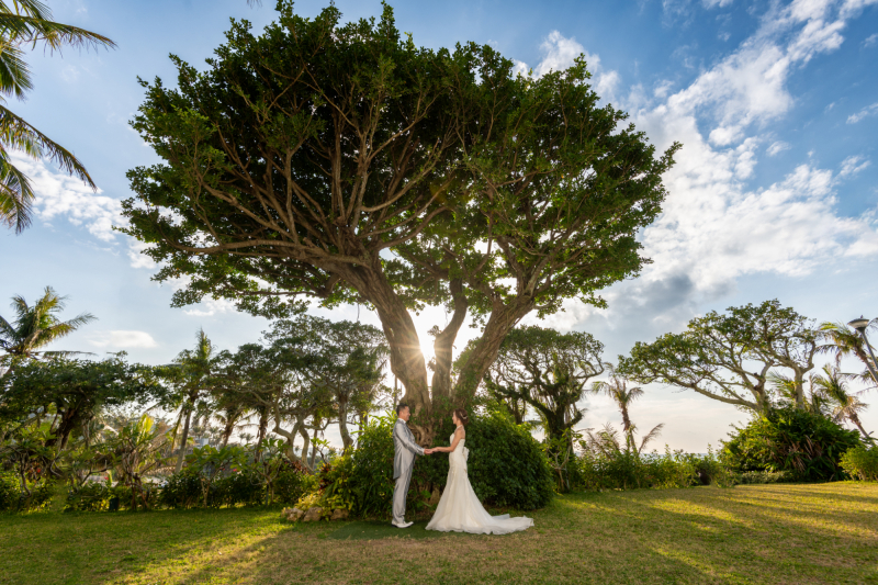 ガジュマルの木の下で