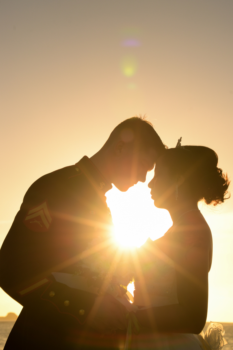 見事なシルエット