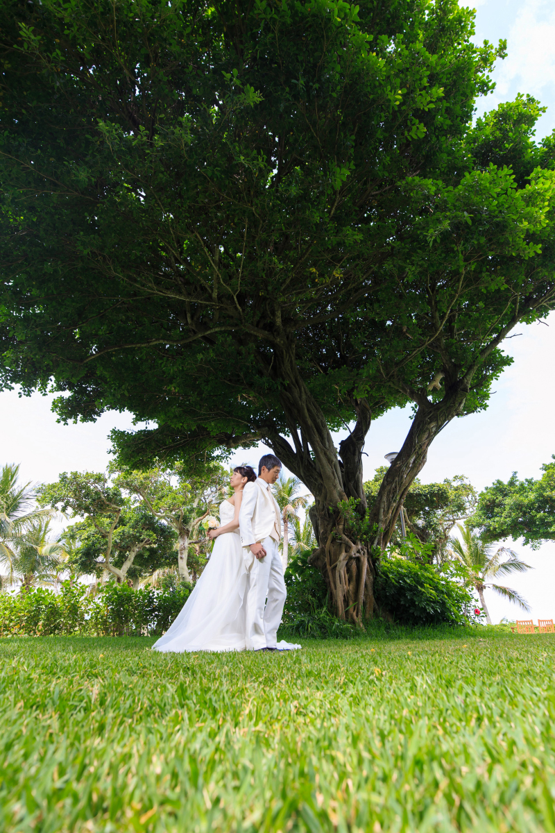 ガジュマルの木の下で