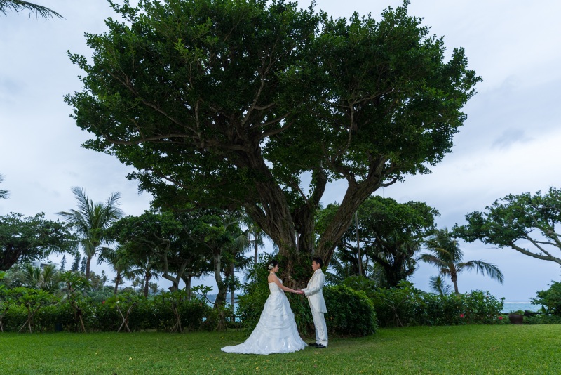 ガーデンフォト