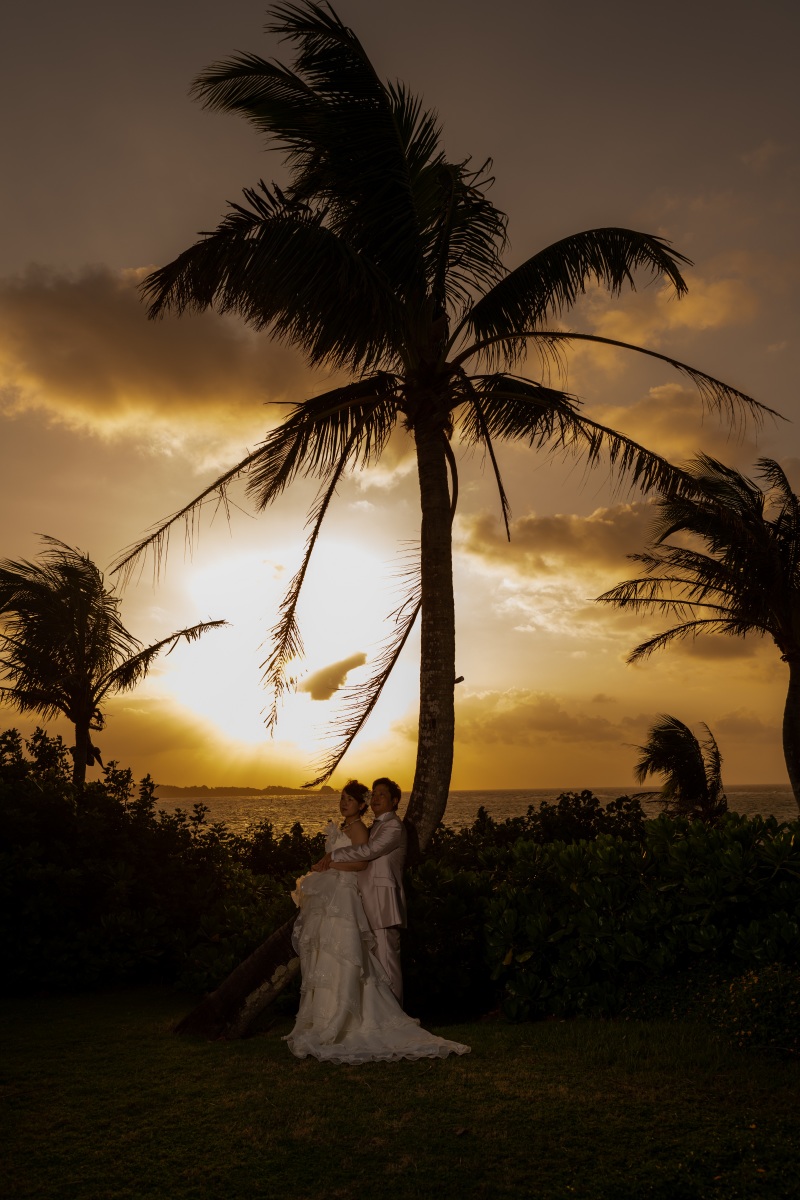 サンセットとヤシの木