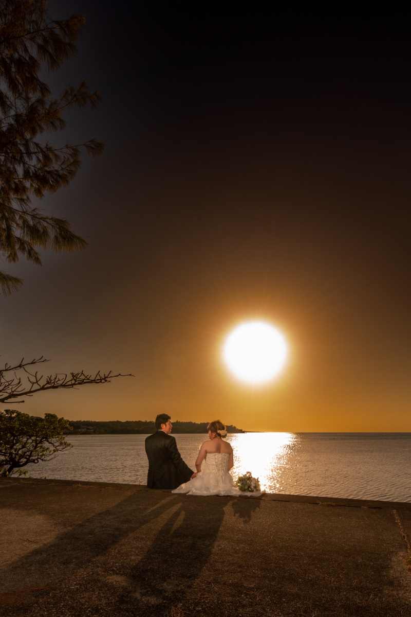 運次第だワンッ