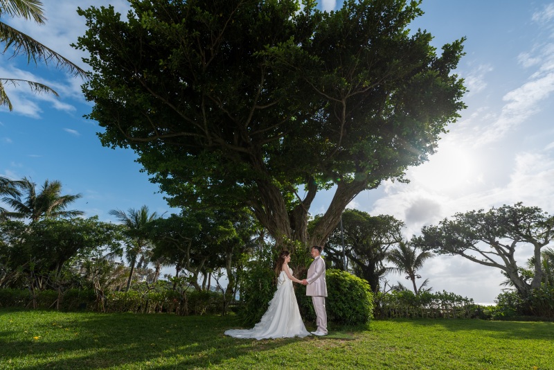 ガジュマルの木