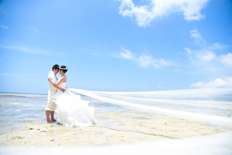 ドレストレーンとロングベール