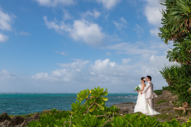広がる沖縄の景色