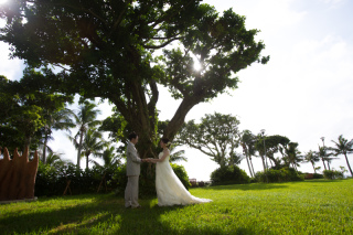 リゾートでマタニティフォト