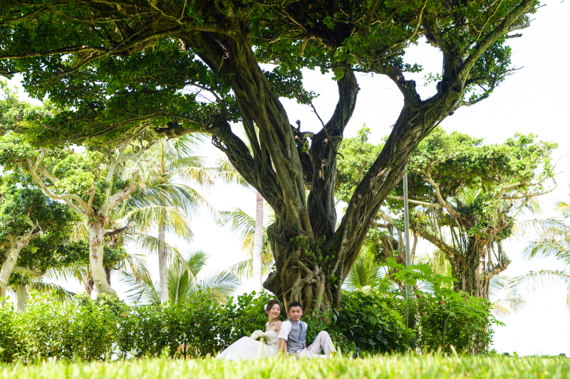 大きなガジュマルの木陰で