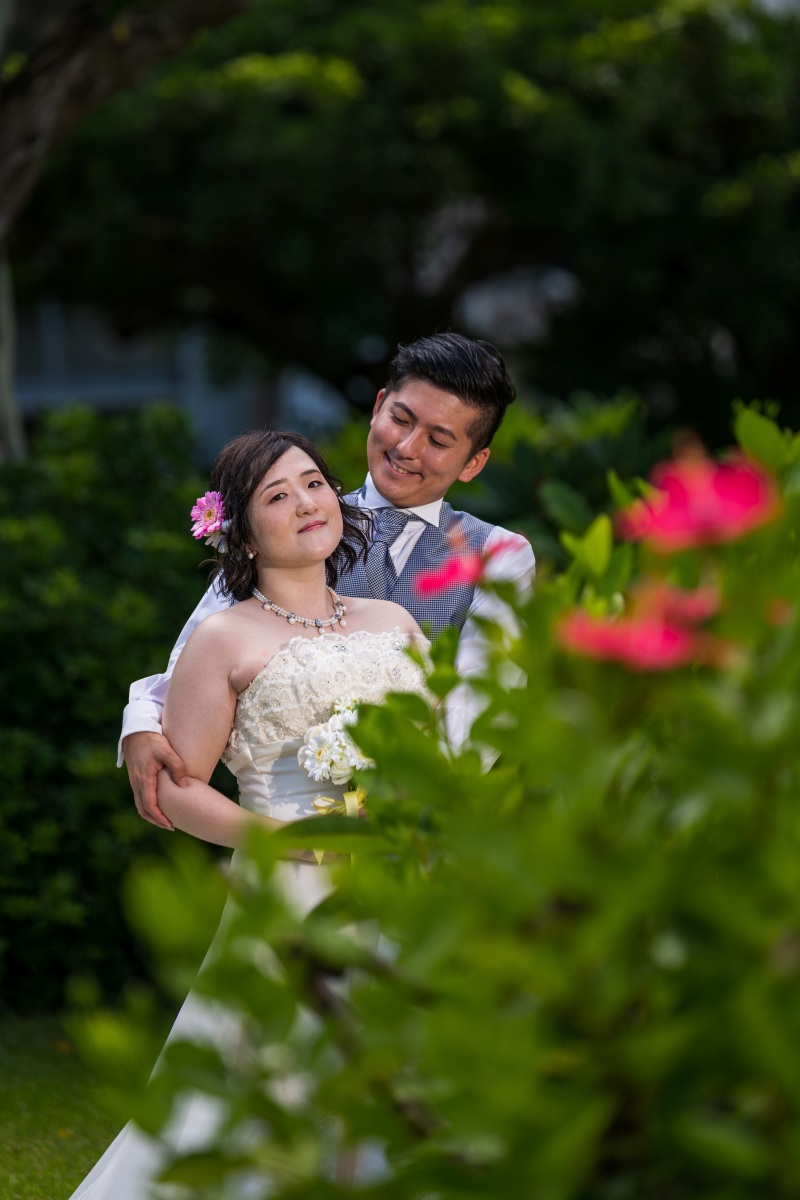 赤いハイビスカス