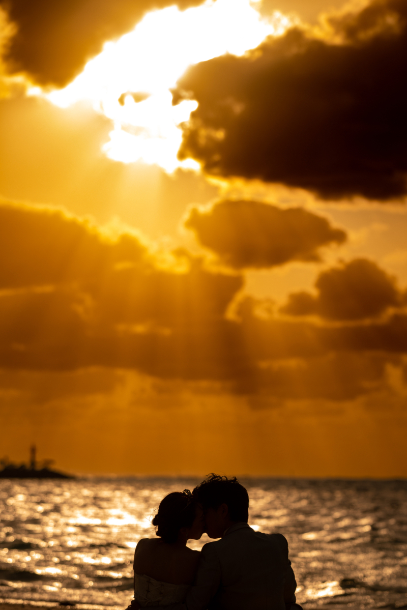 凄いと思うワンッ