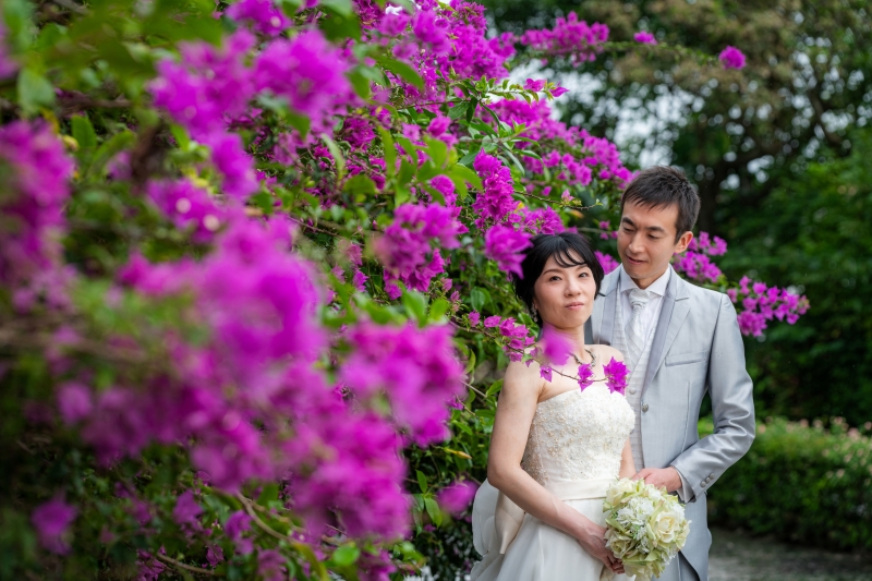 鮮やかなブーゲンビリア