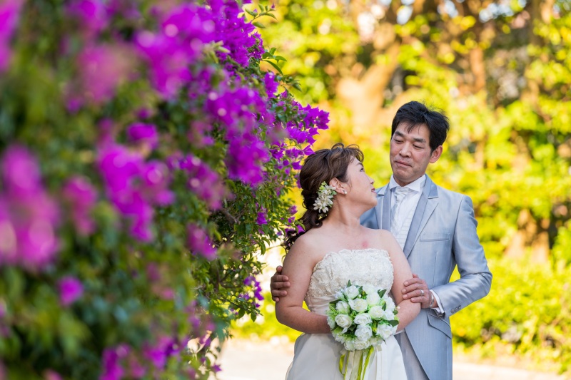 沖縄らしい花々と