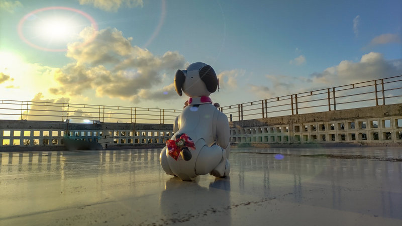 スタジオムーン広報担当の「あいちゃん」です