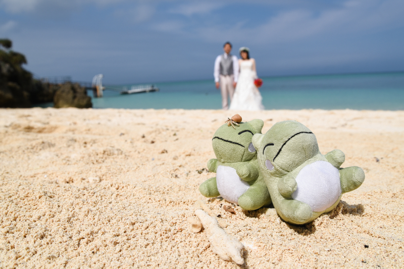 みがわり　ポケモン　結婚式 みがわり（ポケモン）のお陰！？最高の撮影に(笑)』(撮影日