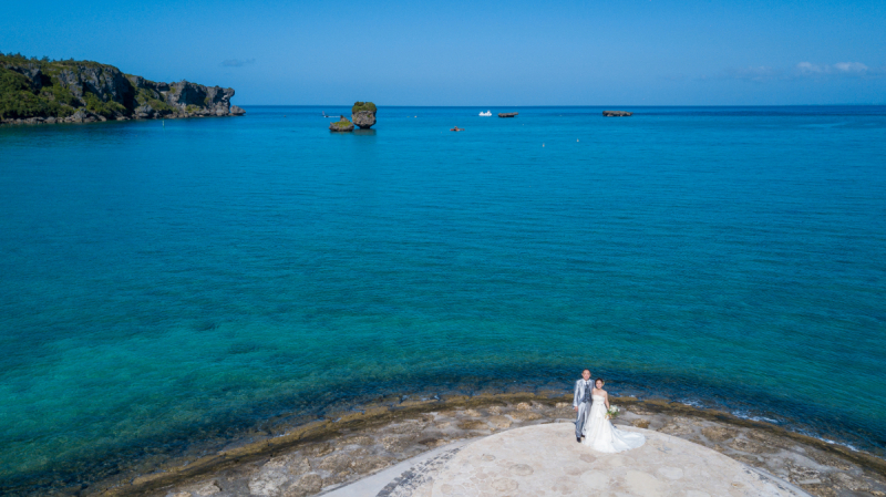 申請や資格や保険もキチンとしているワンッ