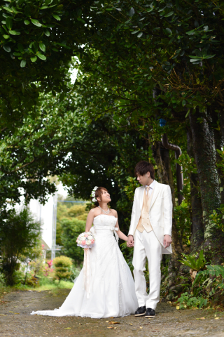 沖縄らしいふくぎ並木のロケーション