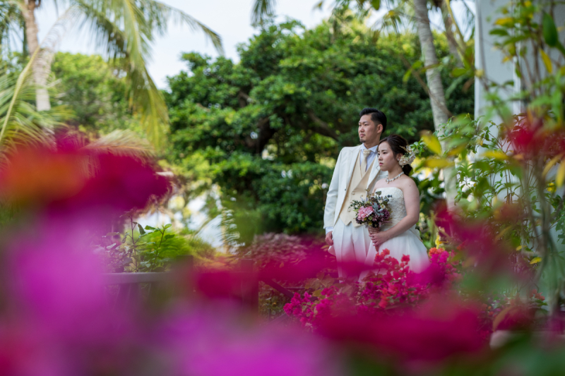 「美しい写真を永遠に　楽しいフォトウエディング」