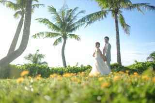 微笑ましい美しさ