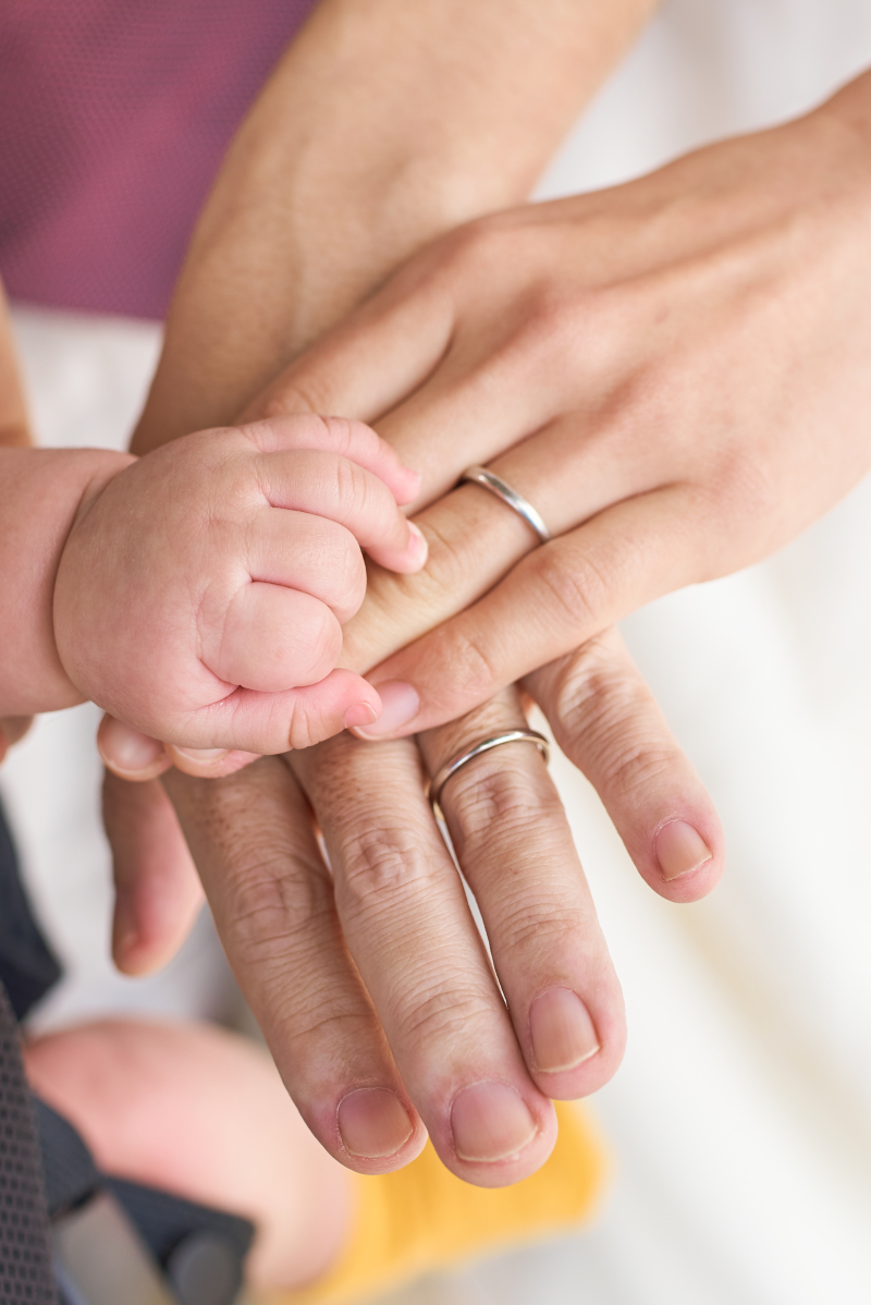 花も嵐も踏み越えて