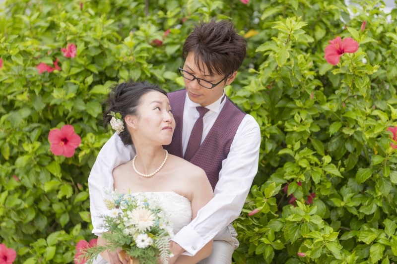 大きなハイビスカス