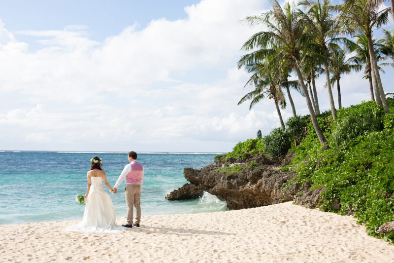 350本ものヤシの木