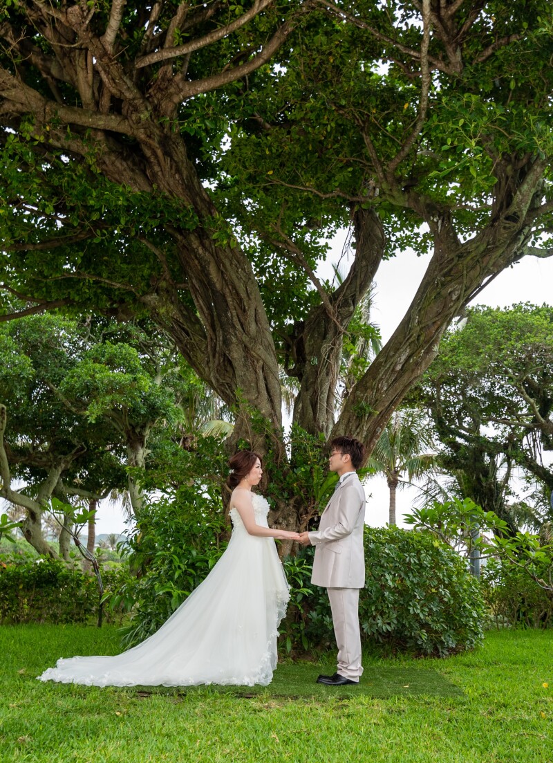 ガジュマルの木の下で