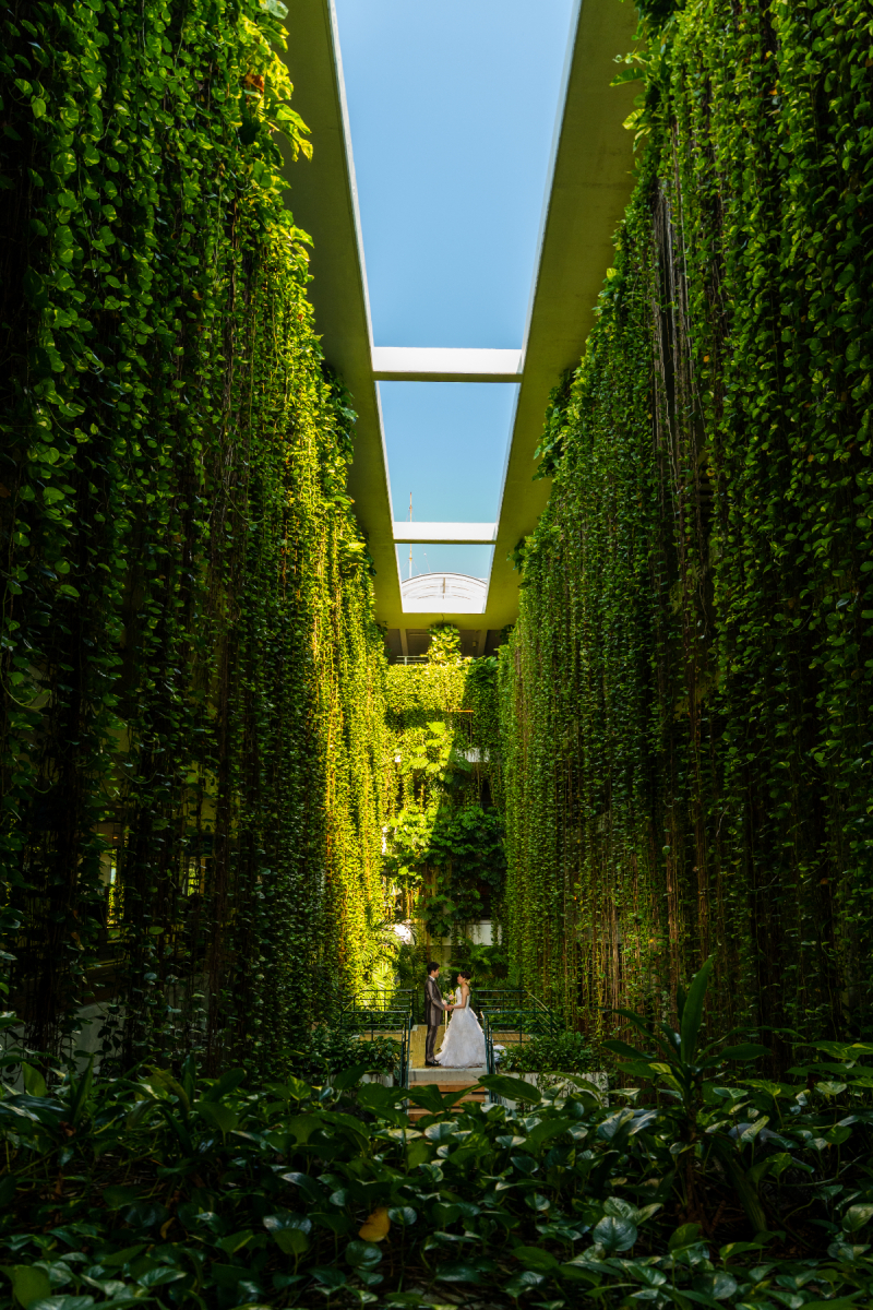 美しいムーンビーチ