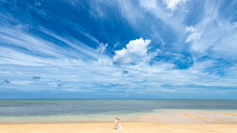 綺麗な海だワンッ
