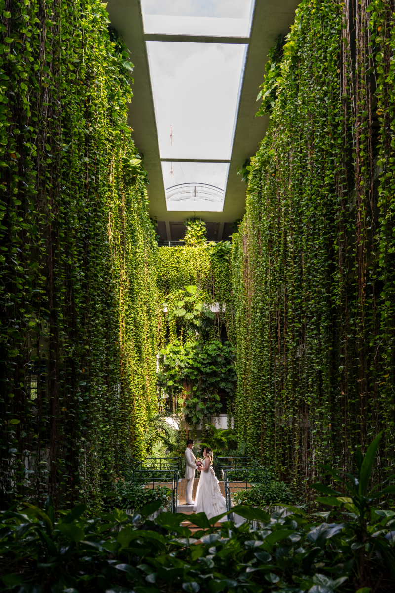 実は「日中シンクロ」がポイントだワンッ