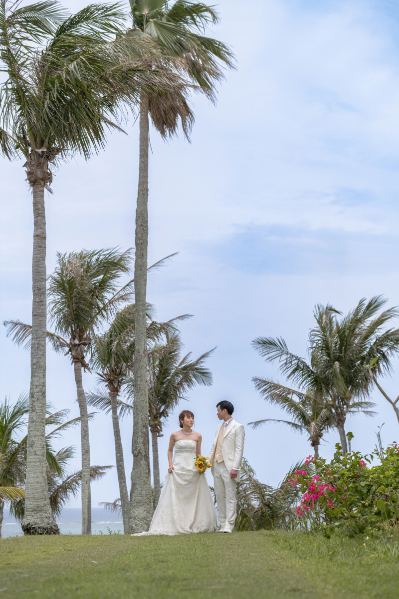 ヤシの木のガーデンフォト