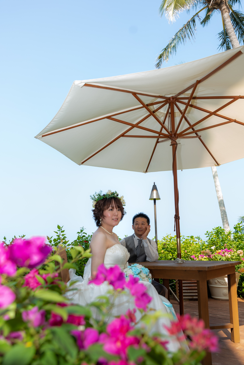 ブーゲンビリア