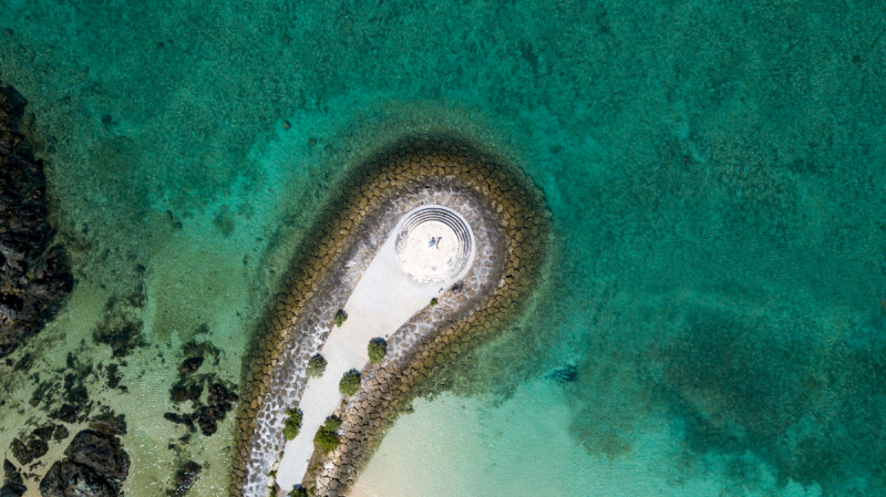 岡本太郎先生は　良いことを言うワンッ