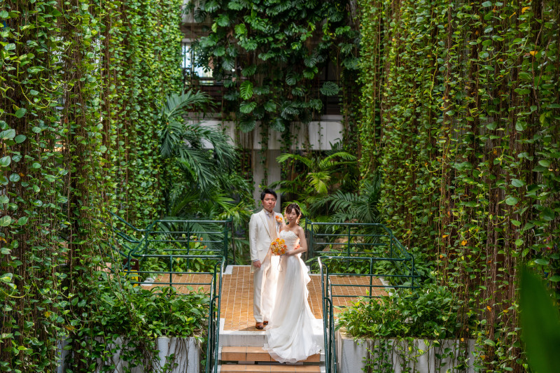 緑が素敵なムーンビーチ