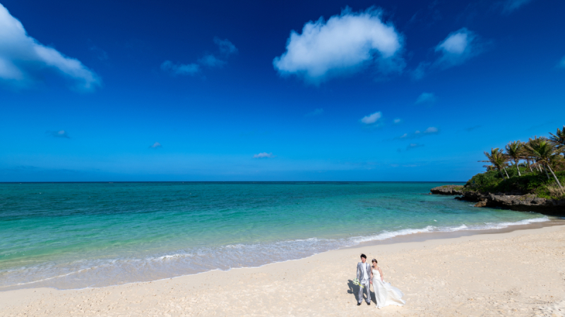 海外からもお客様も