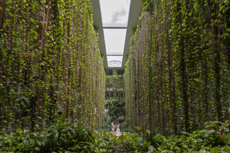 ムーンビーチにしかないロケーションだワンッ