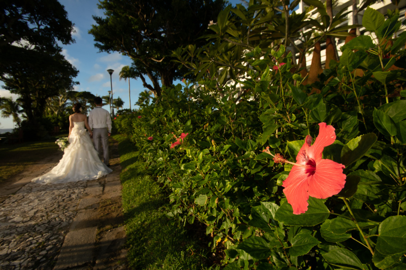 ガーデンフォト