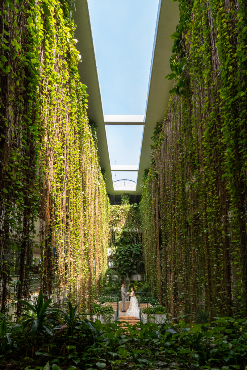 緊張していても大丈夫だワンッ