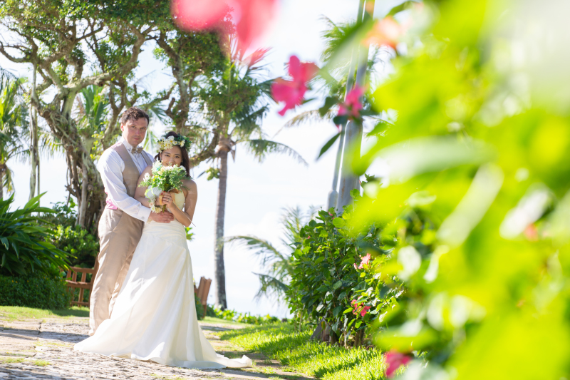 大きなハイビスカス