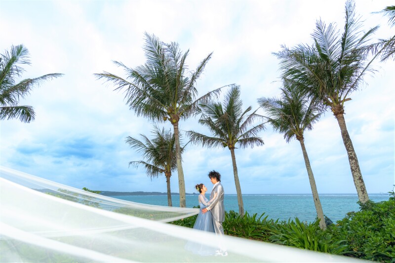 美しい写真を永遠に