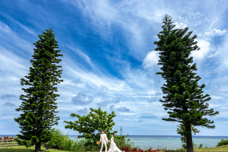 最後は愛情だと思うワンッ