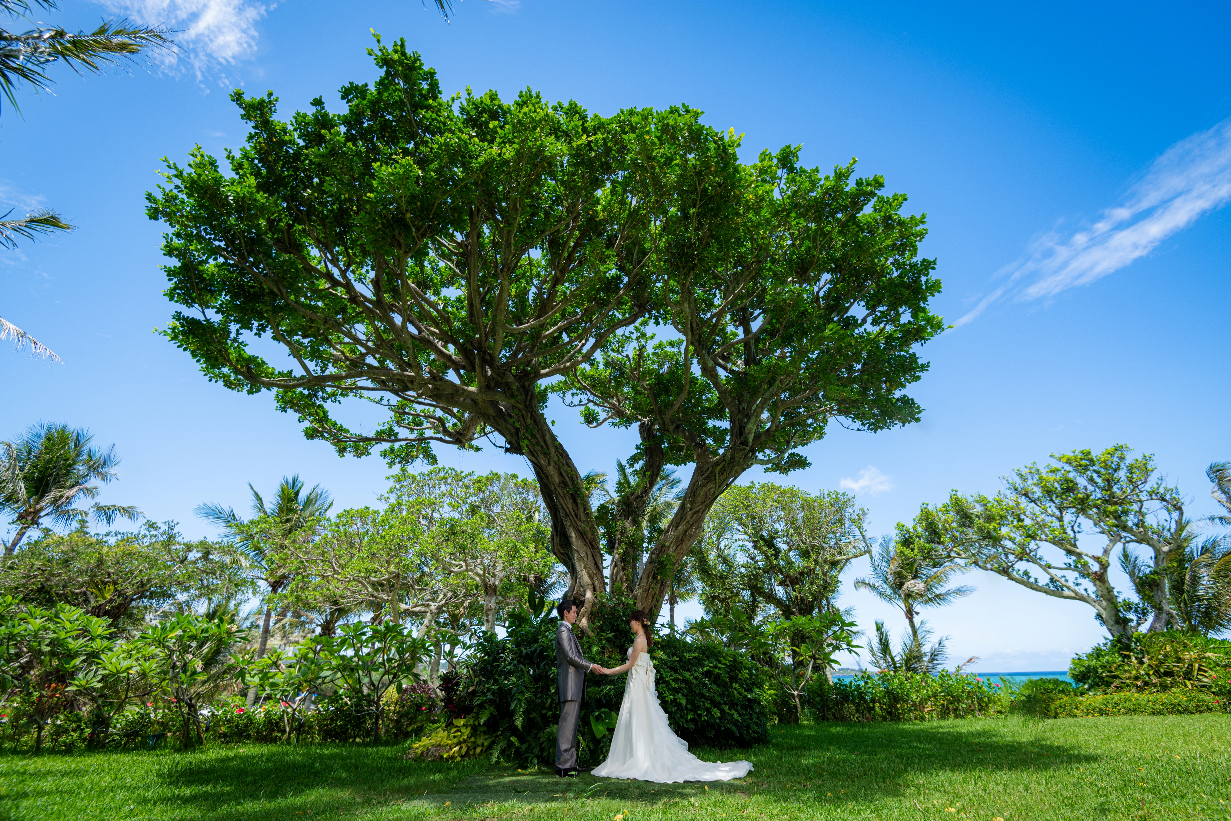 20以上ある撮影シーン