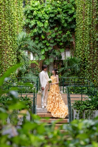 スタジオムーン Drone & Pictures_PICK UP フォトⅡ