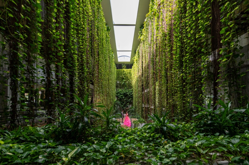 安心の衣装追加料金なし『ムーンビーチプレミアムフォト』ビーチ、ガーデン、館内撮影 ドローン半額&補正2万円付!2月撮影まで